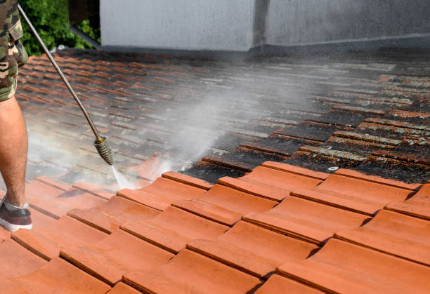 Best Local Pressure Washing Services  in Lansdale, PA